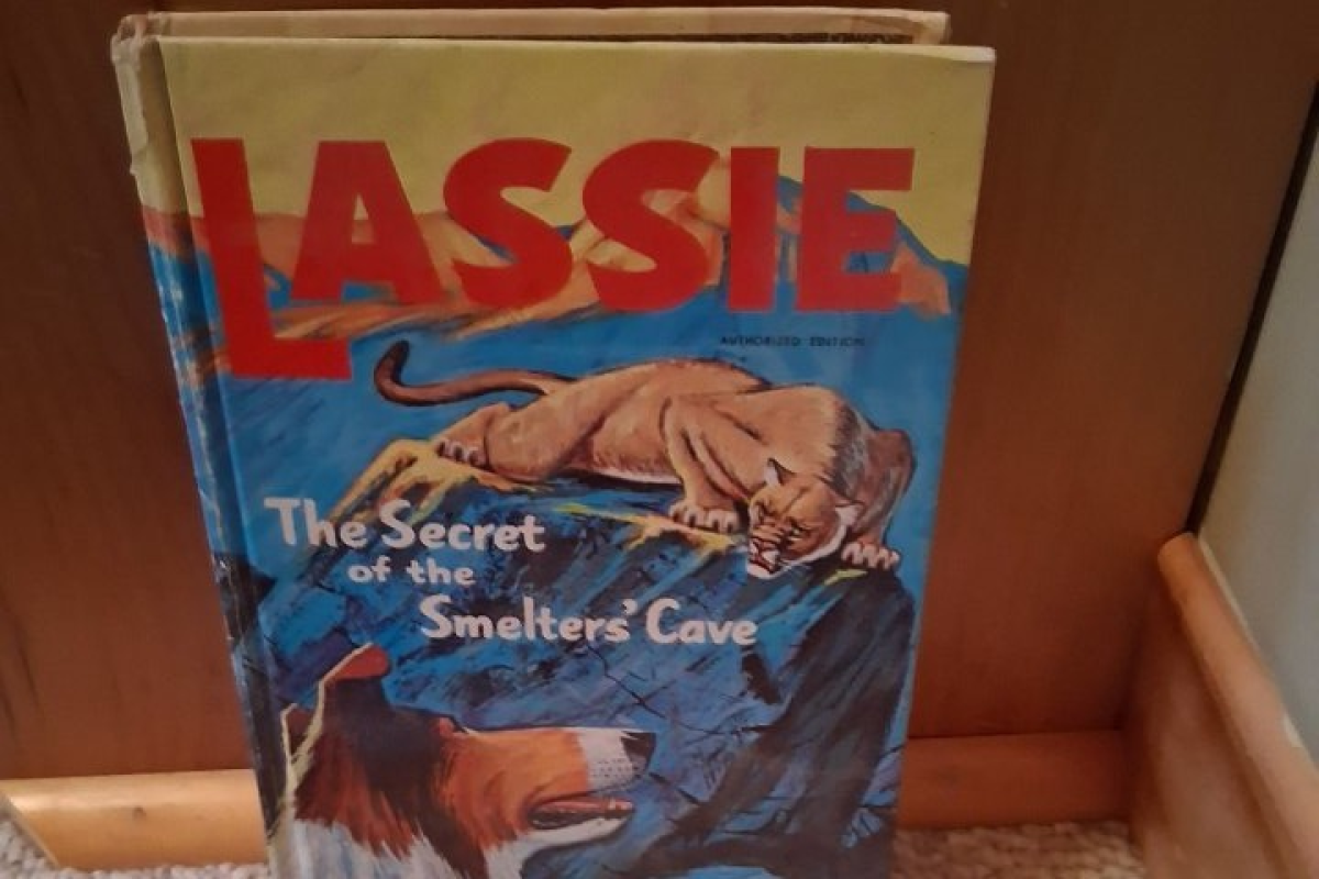 Lassie: The Secret of the Smelters' Cave