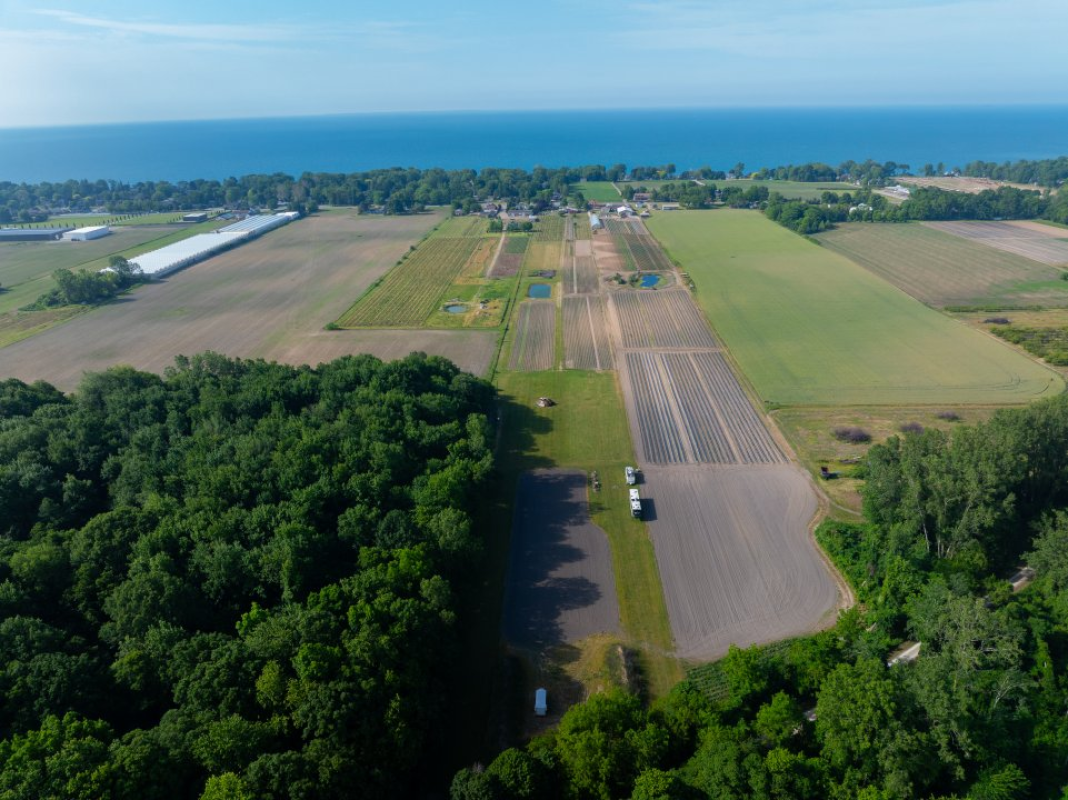 13.3 ACRE FARM FOR SALE 710 Seacliff Drive, Kingsville, Ontario For Sale by Owner