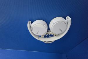 Sony Headphones