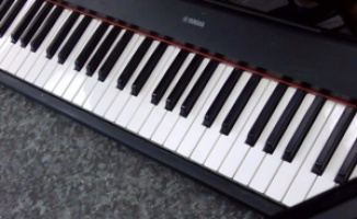YAMAHA NP-12B